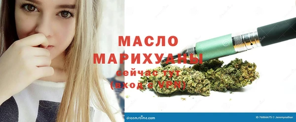 сатива Волоколамск