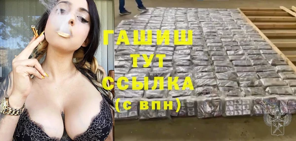 сатива Волоколамск