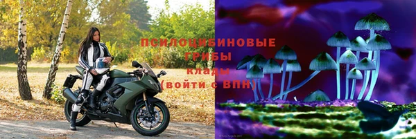 сатива Волоколамск