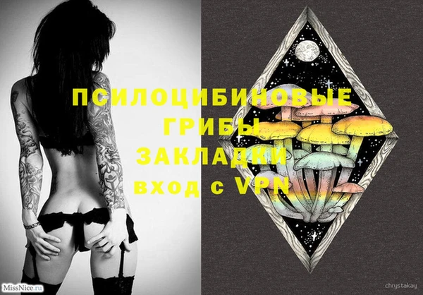 spice Володарск